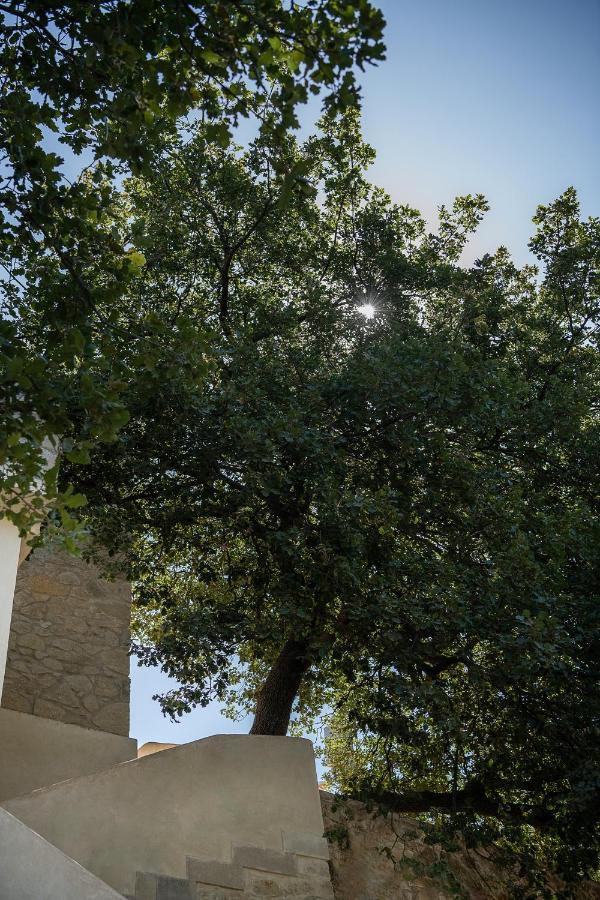 Velanis ηouse, Style Into Nature - Secluded Hébergement de vacances